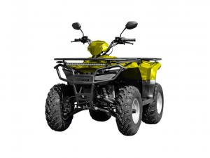 Квадроцикл IRBIS ATV 200 желтый - фото 1